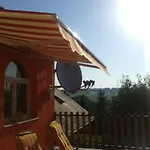 Apartament Alexandr