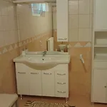 Apartment Alexandr Alsopahok