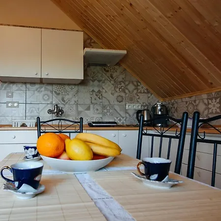 Alexandr Apartment