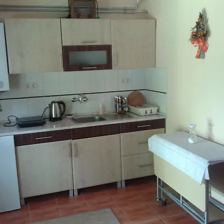 Apartment Alexandr *
