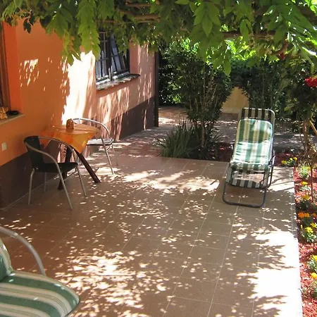 Alexandr Διαμέρισμα *