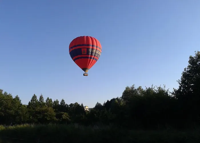 Alexandr Alsópáhok