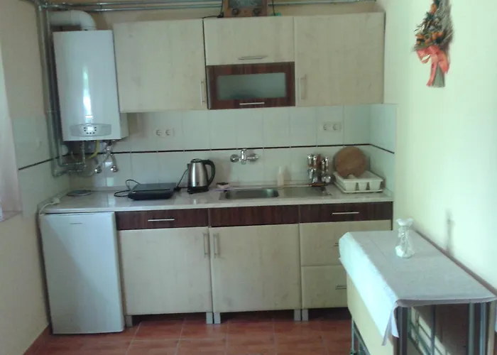 Alexandr Alsópáhok