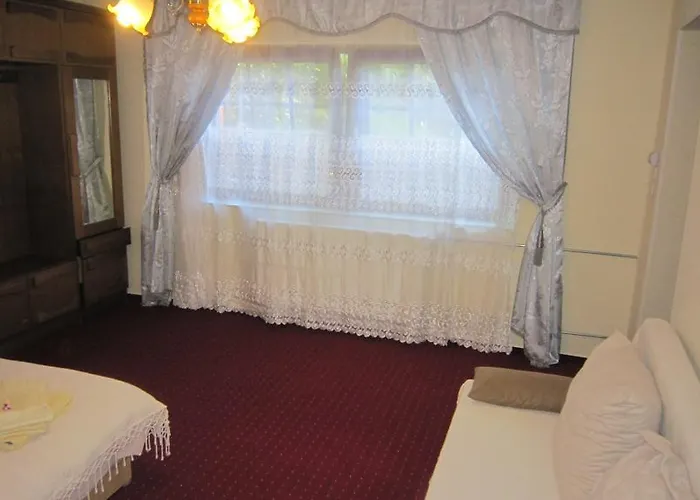 Alexandr Alsópáhok